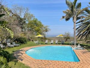 阿多祖伯格山村酒店的庭院内的游泳池,配有椅子和遮阳伞