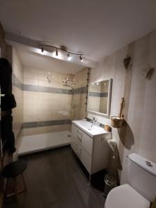 巴涅尔-德吕雄Le Patio de Luchon的一间带水槽、镜子和卫生间的浴室