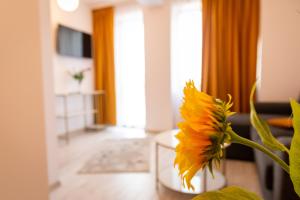 布加勒斯特坎泰米尔酒店的客厅的桌子上摆放着一个向日葵的花瓶