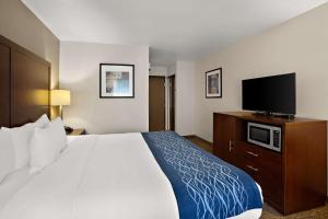 莱西莱西-奥林匹亚康福特茵酒店的配有一张床和一台平面电视的酒店客房