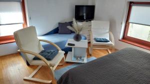 弗尔尼亚奇卡矿泉镇Apartments Bikica的一间卧室配有一张床、一把椅子和电视。