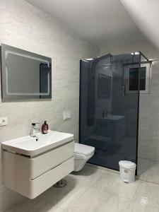 乌罗舍瓦茨Villa Ozoni - Jezerc的一间带水槽、淋浴和卫生间的浴室