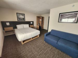 布法罗Eva Hotel Buffalo Airport, BW Signature Collection的一间卧室配有一张床和一张蓝色的沙发