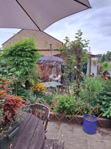 亨廷登The Prince of Wales的花园设有长凳、植物和遮阳伞