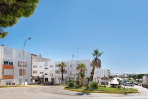 巴尔巴特Apartamento El Músico的棕榈树和建筑城市的街道