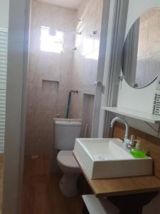 圣若泽杜斯坎普斯Hostel Sancris的一间带卫生间、水槽和镜子的浴室