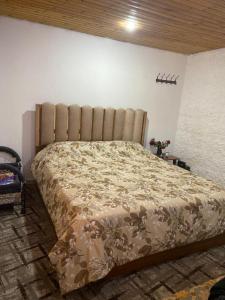 杰拉什Jerash sky1的一间卧室配有一张大床,床上有毯子