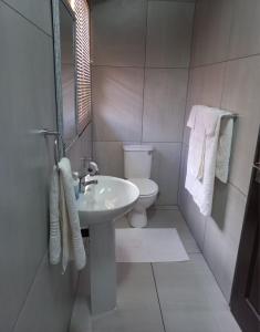 马里兰SnL 12 Dwergarend的白色的浴室设有卫生间和水槽。