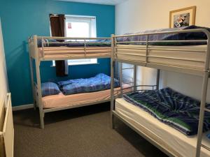 纽基Blue Room Hostel Newquay的蓝色墙壁的客房内设有两张双层床。
