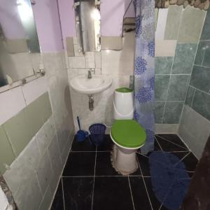 莫科阿Morada Al Sur的浴室配有绿色卫生间和水槽。