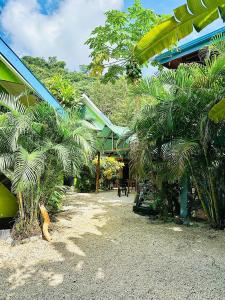 圣塔特蕾莎海滩Surf Paradise的棕榈树和建筑的度假庭院