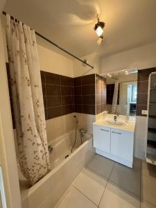 安锡Appartement de Romain的带浴缸、水槽和淋浴的浴室