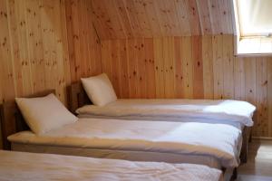 DragashVilla standard n'Bjeshkë的配有木墙和窗户的客房内的两张床