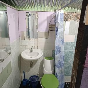 莫科阿Morada Al Sur的一间带水槽和卫生间的小浴室