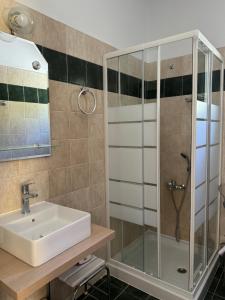 卡拉维塔Muntenia Inn Apartments and Suites的一间带水槽和淋浴的浴室