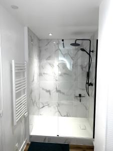 贝桑松Le Vesontio, Wifi, Parking proche的浴室里设有玻璃门淋浴