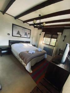 圣卡洛斯-德巴里洛切El Molino的一间卧室配有一张大床和电视