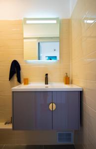 法兰西堡Sibèl Appart的一间带水槽和镜子的浴室