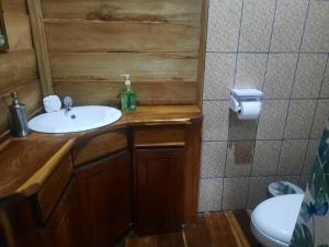UpalaOski Lodge, Rain Forest Rincón de la Vieja的一间带水槽和卫生间的浴室