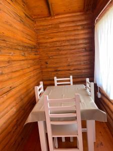 圣米格尔-德尔蒙特Rincón del Sur的木墙客房内的桌椅