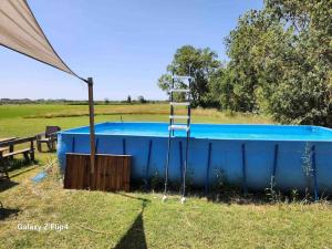 耶尔Petite maison cosy的蓝色的游泳池,在田野上设有梯子