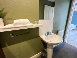 格拉斯哥Cozy Studio Apartment of Glasgows West End的绿色浴室设有水槽和镜子