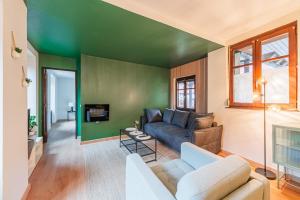 莫尔塞姆La FORGE Appartement chaleureux et Grands espaces的带沙发和绿色墙壁的客厅