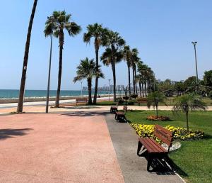 梅才特里Deniz One Bedroom Appartment的公园里有两个长椅,棕榈树和大海