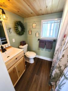 马斯基根Tiny Digs Lakeshore - Tiny House Lodging的一间带卫生间、水槽和镜子的浴室