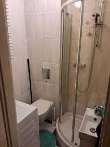 华沙Sady Flat的带淋浴、卫生间和盥洗盆的浴室