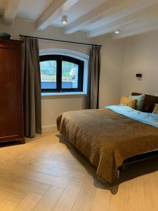 哈莱姆B&B Florapark的一间卧室设有一张床和一个大窗户