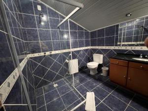 卡内拉Pousada Suíça的蓝色瓷砖浴室设有卫生间和水槽