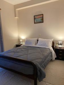 卡尔派尼西翁Αρτέμιδα Karpenisi Apartment的卧室内的一张床位,配有2个床头柜和2盏灯