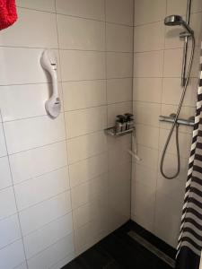 登堡图伊斯特克塞尔住宿加早餐旅馆的带淋浴的浴室,墙上配有电话