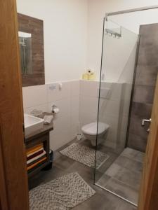 胡本Haus Bergjuwel的带淋浴、卫生间和盥洗盆的浴室