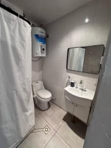 戈多伊克鲁斯Moderno Monoambiente con estacionamiento的一间带卫生间、水槽和镜子的浴室