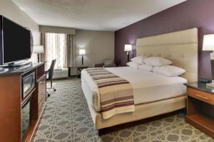 波普勒布拉夫Drury Inn & Suites Poplar Bluff的一间酒店客房,配有一张大床和一台平面电视