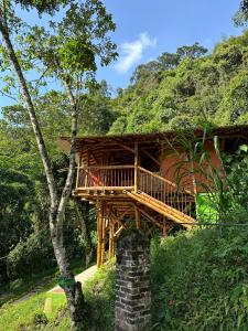 拉维加Ecohotel Monteverde的森林中间的树屋