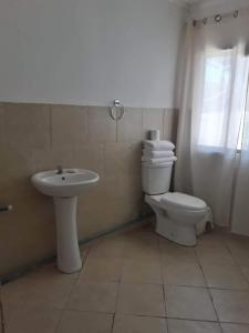 皮卡Cabaña en Pica con Jacuzzi privado的一间带卫生间和水槽的浴室