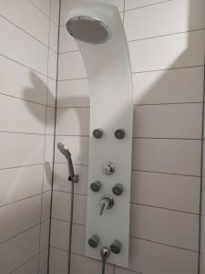 斯图加特Andris Apartments的浴室内配有淋浴和头顶淋浴