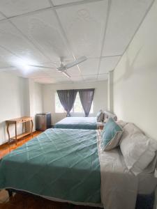 JuayúaMARIA III HOSTAL的一间卧室设有一张带天花板的大型绿色床。