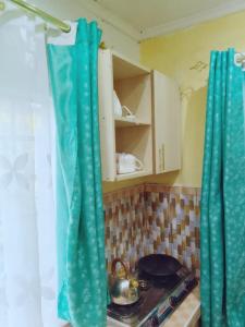 KiambuBONNY KINGs FARMSTAY的厨房配有绿色窗帘和炉灶烤箱