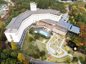 庆州柯荣酒店的享有带庭院的大型建筑的顶部景色