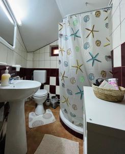 普雷代亚尔Casuta noastra din Predeal的一间带水槽和淋浴帘的浴室