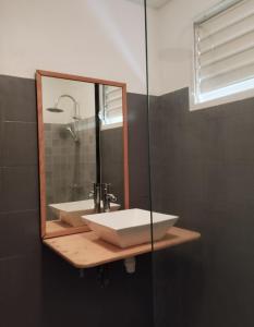 哥西尔Bas de Villa Dumont T3 avec jacuzzi的一间带水槽和镜子的浴室