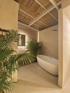 莲三AMBERGRIS的带浴缸和植物的浴室