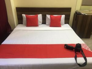 阿姆利则Arora classic guest house的一张带红色枕头的床上相机
