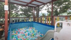 RizalRedDoorz @ Cristina's Hideaway Resort Tanay的游泳池里满是球