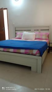 圣路易斯chez Mamanta的一张配有粉色和蓝色床单及枕头的床