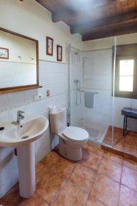 奥尼斯Apartamentos El Pedrayu的浴室配有卫生间、盥洗盆和淋浴。